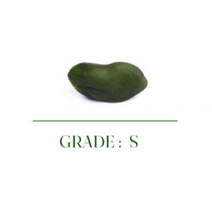 Green  kernels Grade S