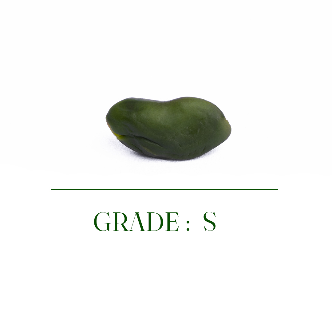مغـز پسته گرید S